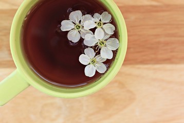 cup of herbal tea with flowers apple blossom