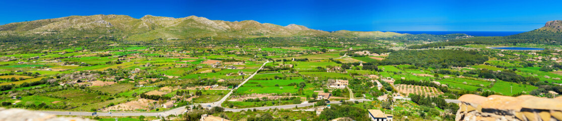 Fototapeta na wymiar green meadows in the north of Majorca