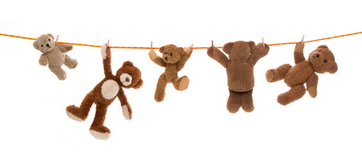 Lustige Gruppe von Teddy Bären isoliert auf einer Wäscheleine. 