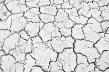white Dry land. Cracked ground background.