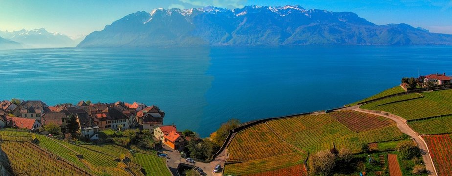 Terraced vineyards of Lavaux with Lake Leman and alps mountains