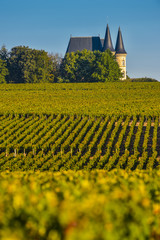 Fototapeta na wymiar Castle in Bordeaux Vineyard Sunrise-Medoc-France
