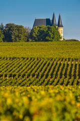 Fotobehang Castle in Bordeaux Vineyard Sunrise-Medoc-France © FreeProd