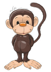 Monkey