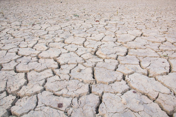 Dry land. Cracked ground background.