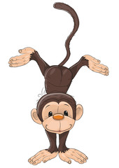 Obraz premium Monkey
