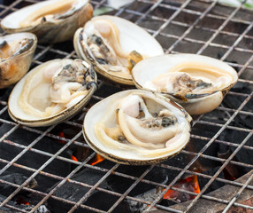 many fresh oyster on fire.