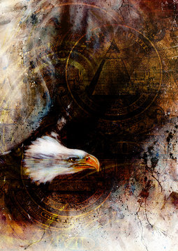  flying eagle beautiful painting illustration, with one dollar 