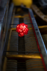 Antique grand piano mechanics detail with a red carnation flower