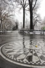 Rollo Gelbe Rose auf Imagine-Mosaik, Central Park, New York © christiepdx
