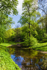 Fototapeta na wymiar river in green forest