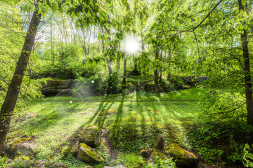 Fototapeta na wymiar landscape of green spring forest