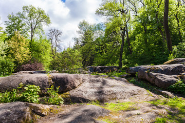rocky boulders and trees