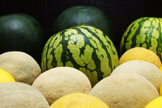Melons