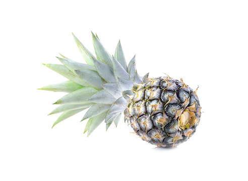 Green pineapple on isolated white background, unripe pineapple o