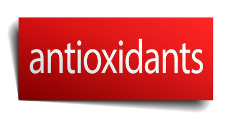 antioxidants red paper sign isolated on white
