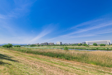 Fototapeta premium 多摩川 関戸橋付近