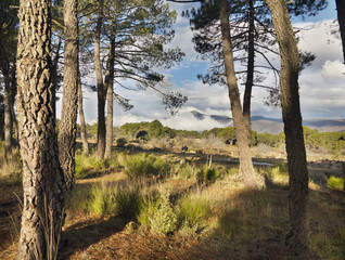 Pico Casillas desde Cadalso de los Vidrios © ABUELO RAMIRO
