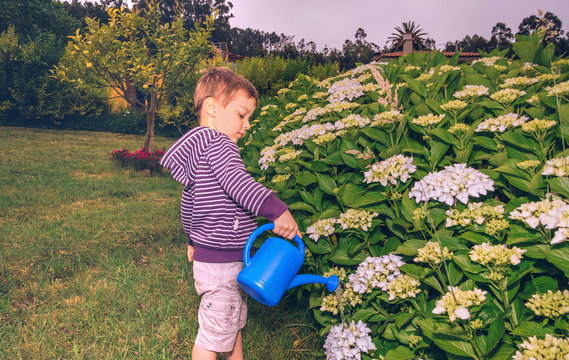 Happy Boy Watering Flowers In The Garden