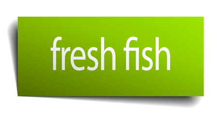 fresh fish green paper sign isolated on white