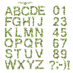 Spring Summer alphabet and number made of flower