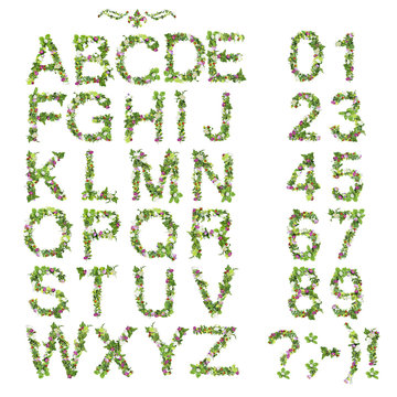 Spring Summer Alphabet And Number Made Of Flower