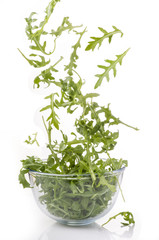 insalata rucola