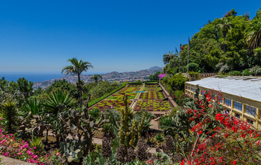 Botanical Gardens Funchal. Madeira.