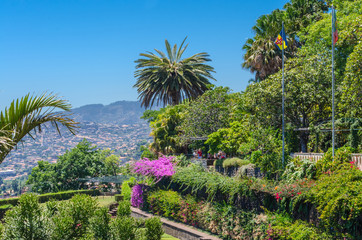 Fototapeta na wymiar View from Botanical Garden Funchal.