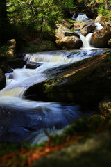 Cascading waterfalls in mountain forest