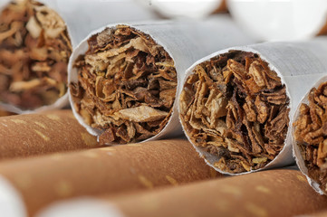 Tobacco in cigarettes with brown filter