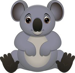 cute baby koala
