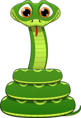 Obraz premium Green snake