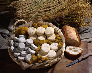 fromages languedoc - obrazy, fototapety, plakaty
