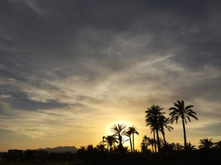 Obraz premium Atardecer en Elche