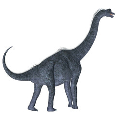 Brachiosaurus over White