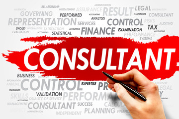 CONSULTANT word cloud, business concept