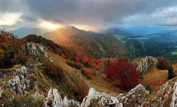 Rock and forest at autumn in Slovakia