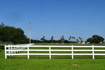 Florida White Picket Fence