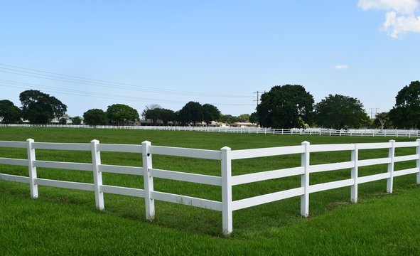 Horse Corral