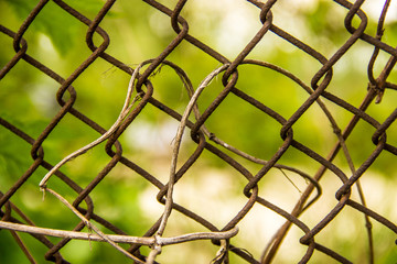 Fototapeta premium steel mesh, rusty iron mesh braided dry grass on a background of