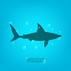 Shark background