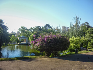 Lake at Park in Montevideo
