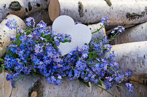 Fototapete Vergissmeinnicht Und Herz Zwischen Birkenstammen Fototapeten Sonja Calovini