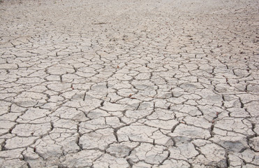 Dry land. Cracked ground background.
