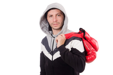 Funny boxer isolated on the white