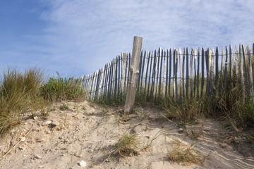 Dune et barri&egrave;re 
