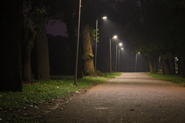 Ibirapuera park road at night