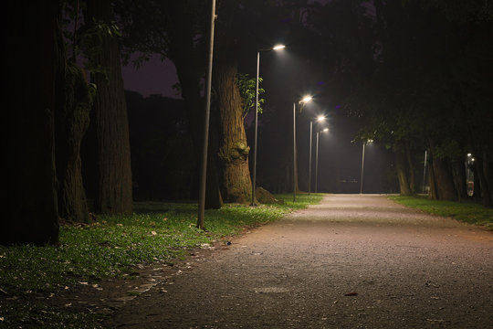 Ibirapuera Park Road At Night
