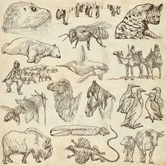 Fototapeta na wymiar Animals - Freehand sketches on old paper
